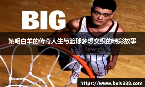 姚明白羊的传奇人生与篮球梦想交织的精彩故事
